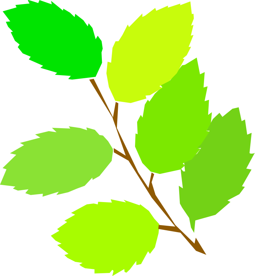 Image Of Leaves 