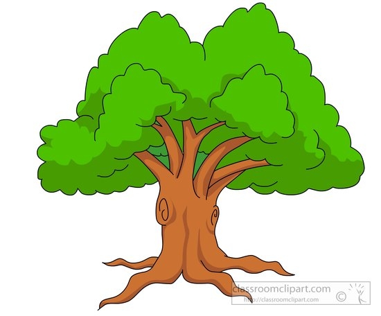 Tree With Big Leaves Clipart 