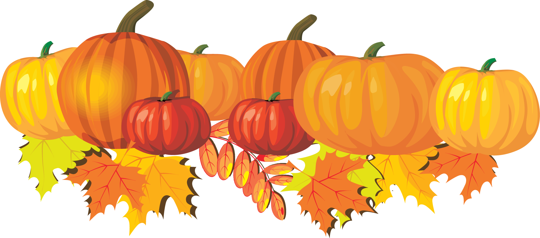 Pumpkins And Fall Leaves Clipart 