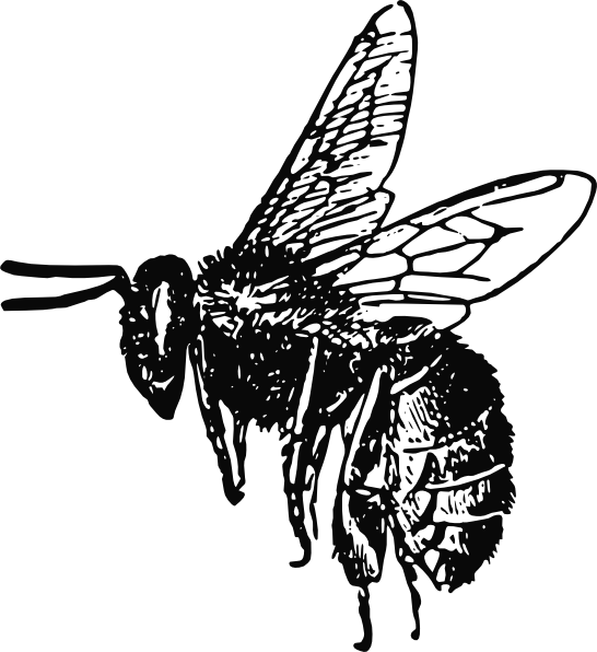 Bee Silhouette 