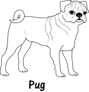 Clip Art Black and White Pug � Clipart Free Download 