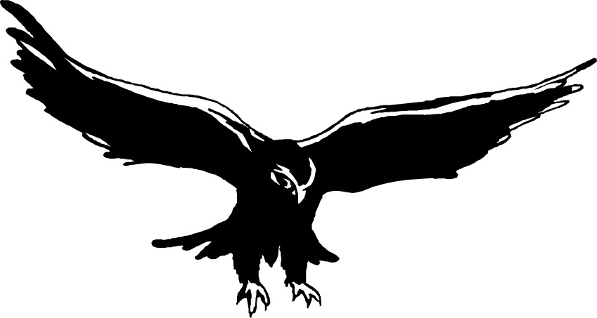 Falcons logo clip art 