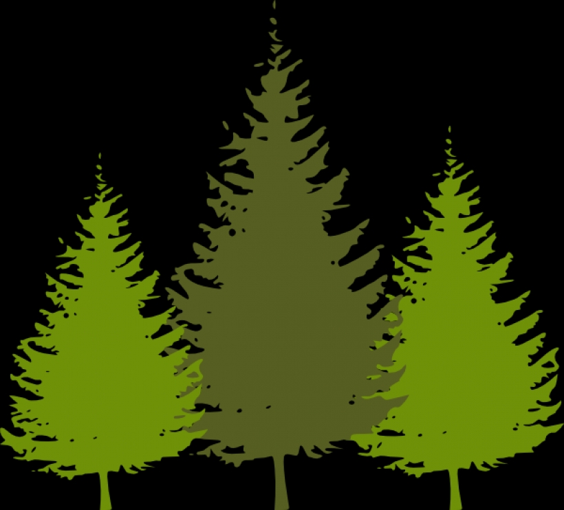 Free Redwood Tree Cliparts, Download Free Redwood Tree Cliparts png