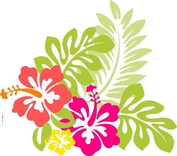 Flowers from hawaii, the exotic hibiscus flower with word art 