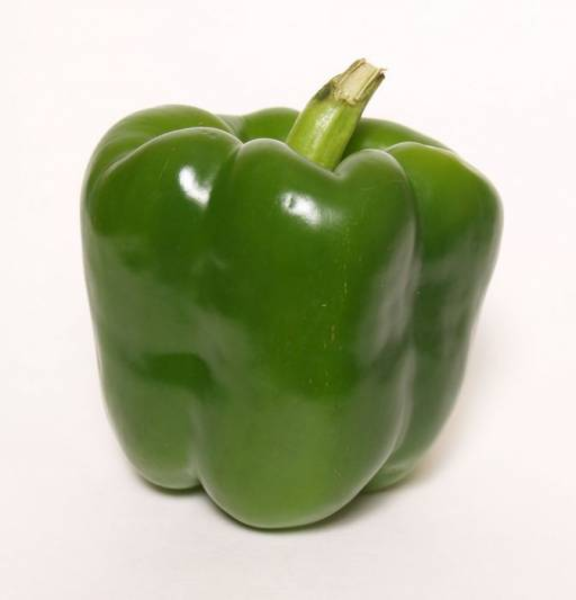 Green Pepper Clipart 