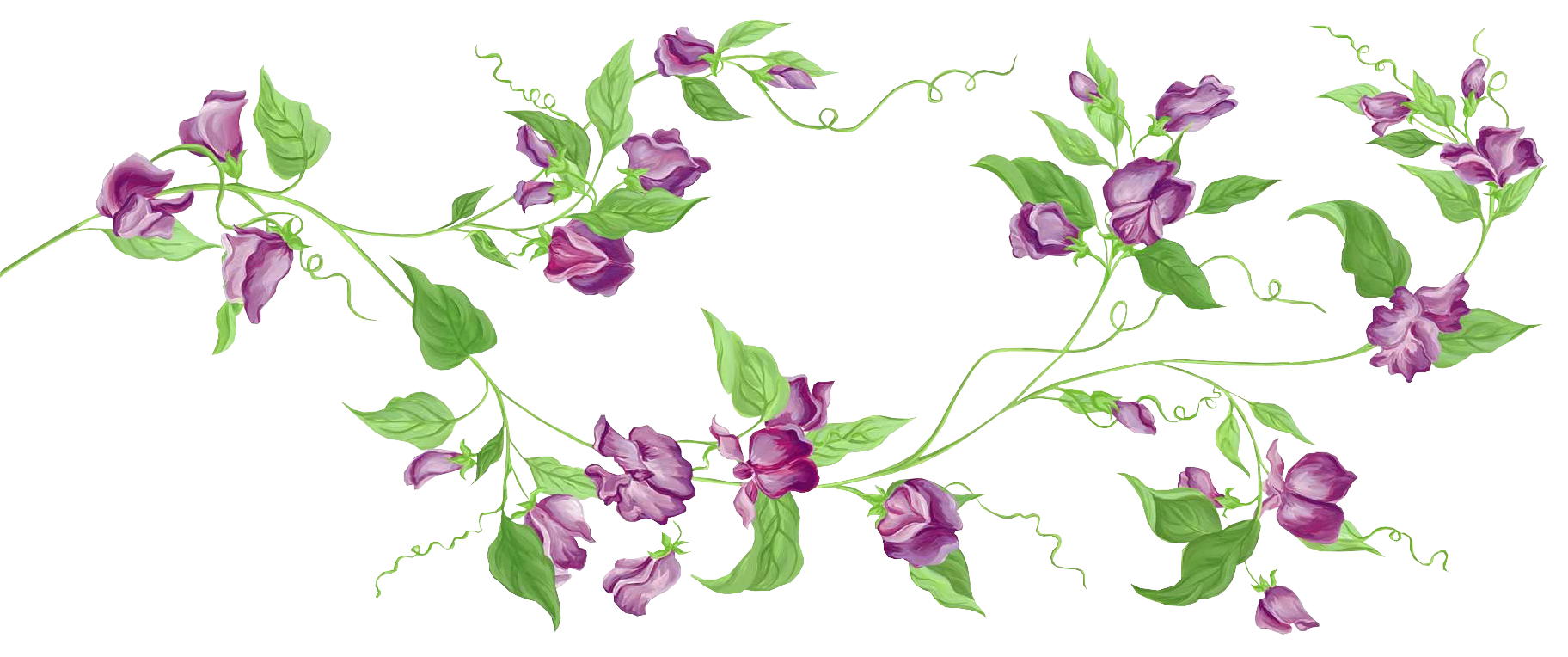 transparent flower vines clipart - Clip Art Library