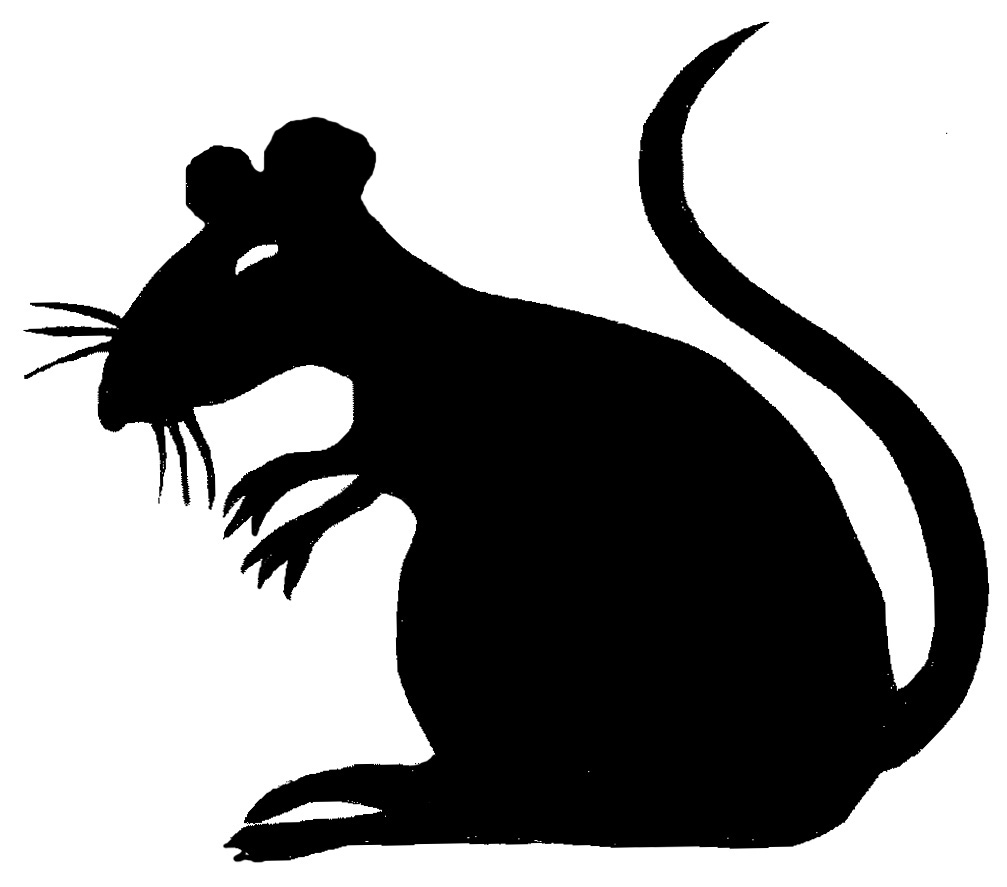 Free Black Rat Cliparts, Download Free Clip Art, Free Clip Art on