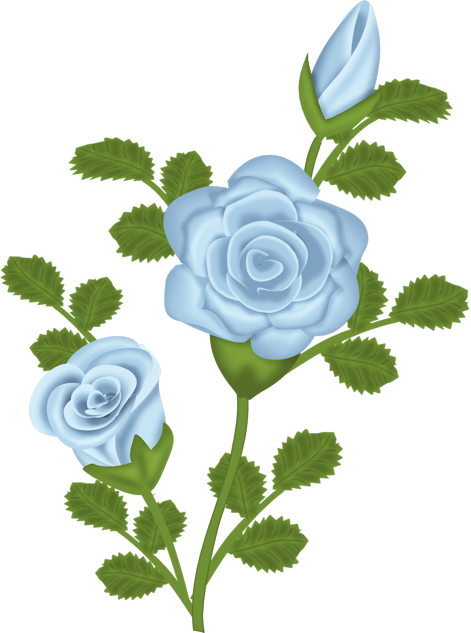 blue roses drawings