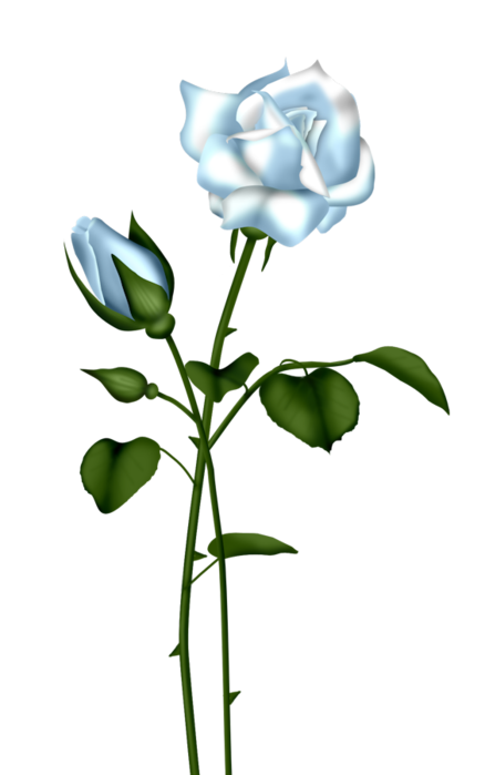 Free Blue Rose Cliparts, Download Free Blue Rose Cliparts png images