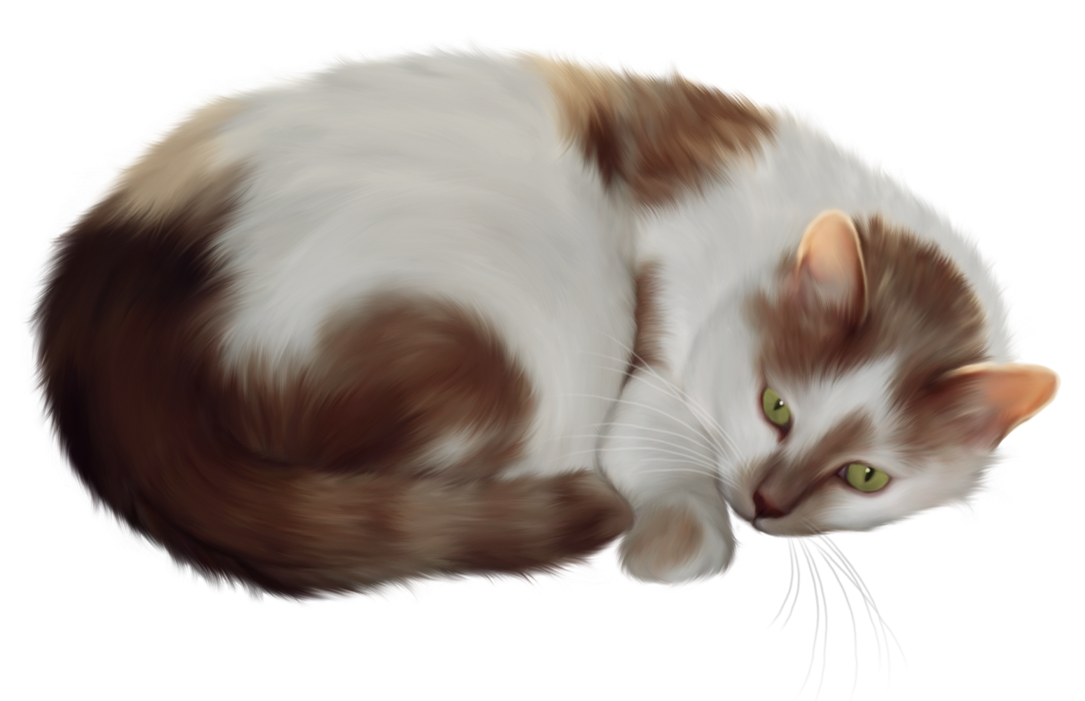 Transparent Cat Clipart 