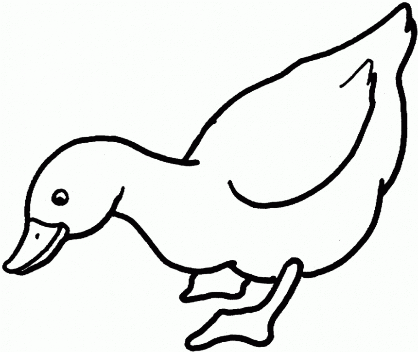Free Duck Template Cliparts Download Free Duck Template Cliparts Png