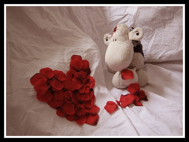 Valentine&Day Valentine&Day