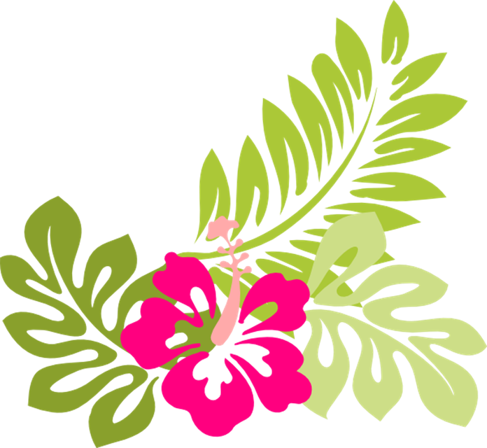 Free Tropical Flowers Cliparts, Download Free Clip Art ...
