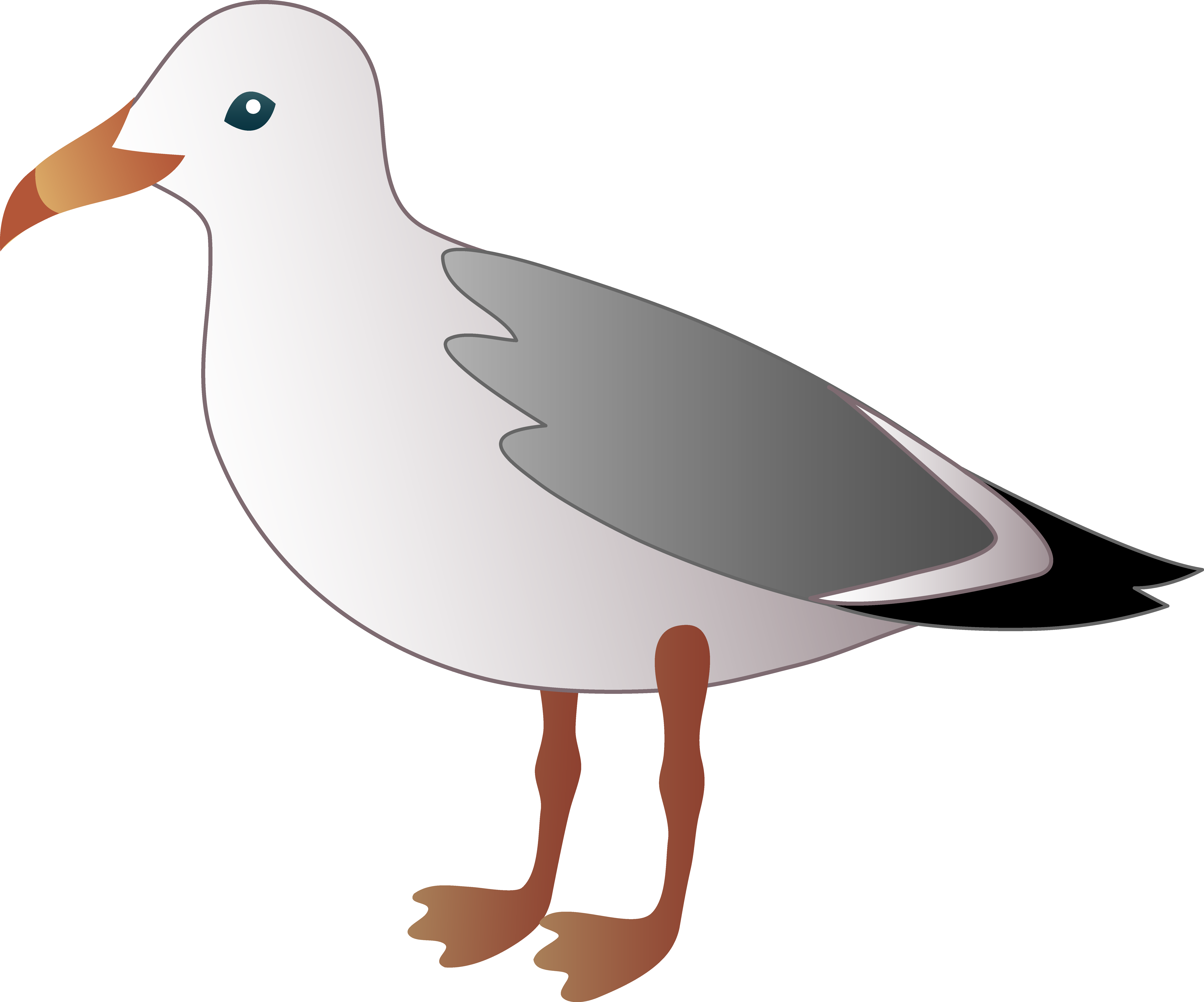 Seagull over water clipart 