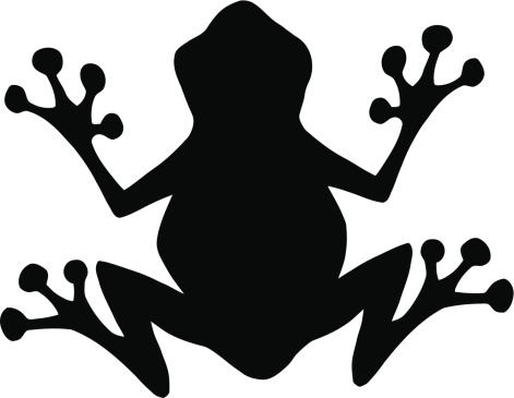 Vector Frog 