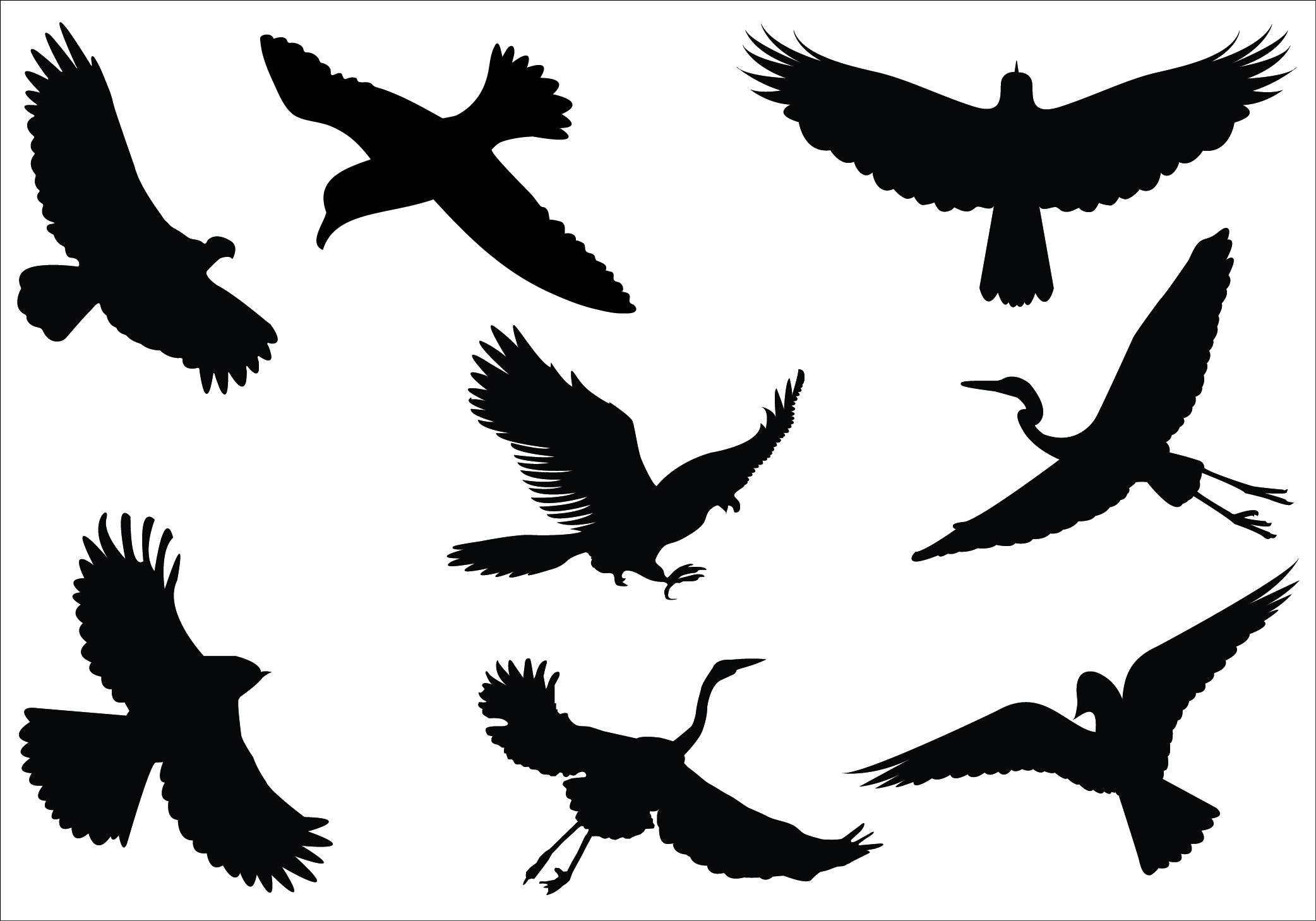 Birds Vector Graphics Archives 