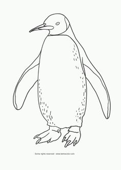 Emperor penguin clipart black and white 