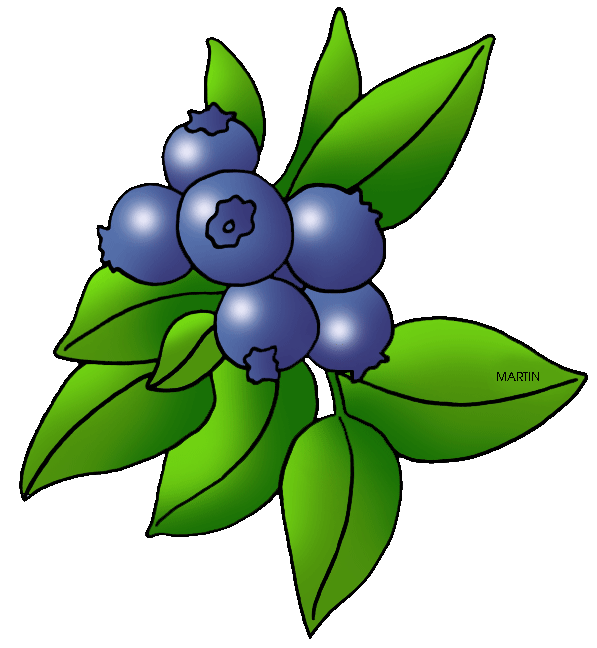 Berry Clipart 