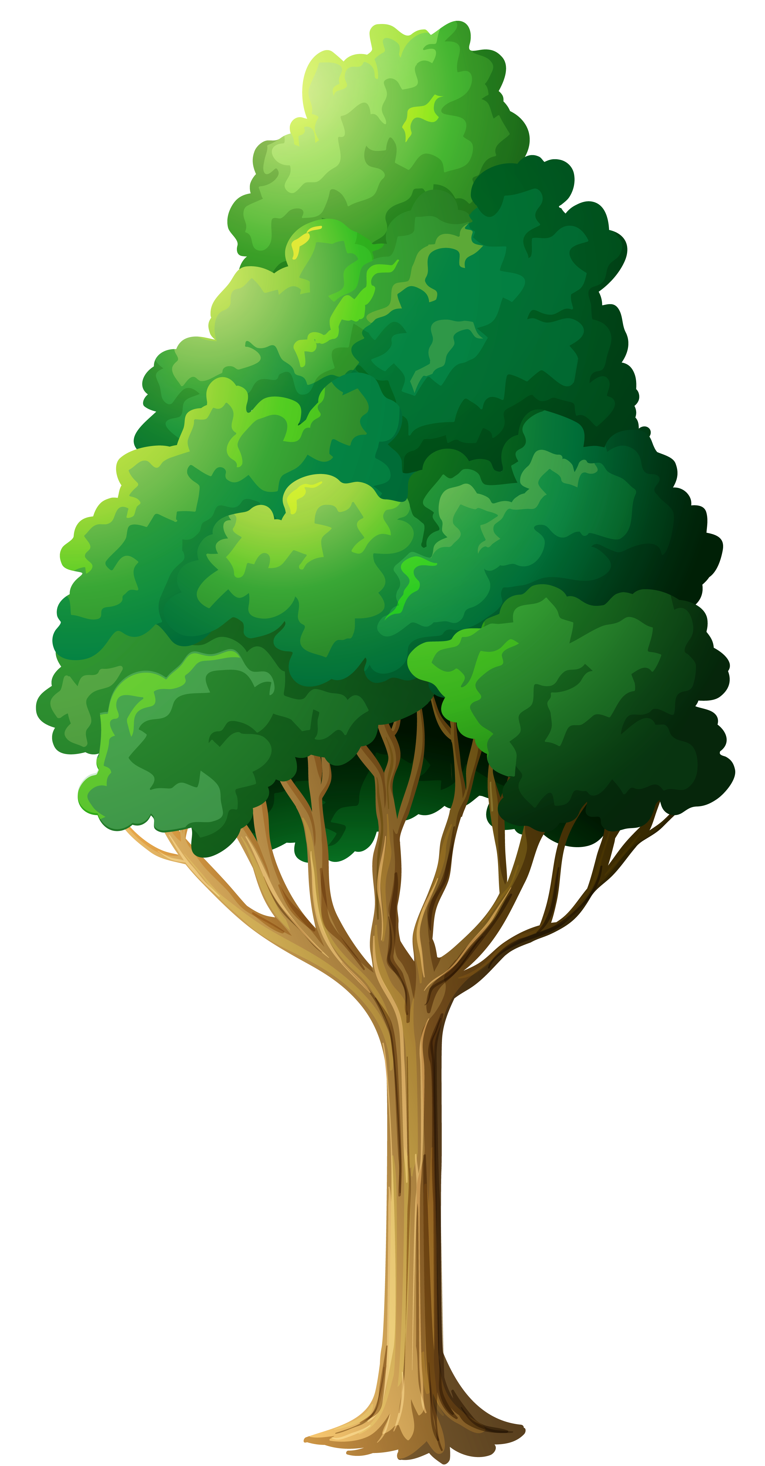Green Tree Clipart 