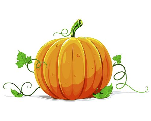 Autumn pumpkin clipart 