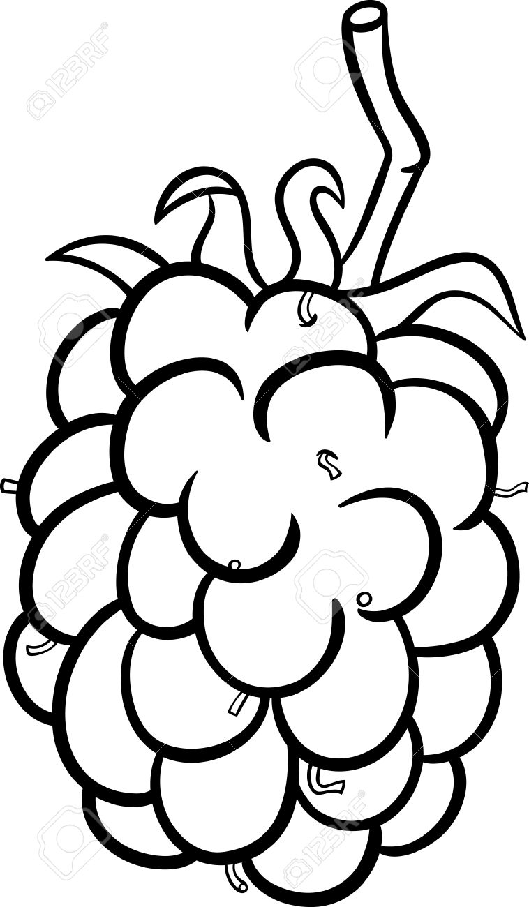Berry Clipart 