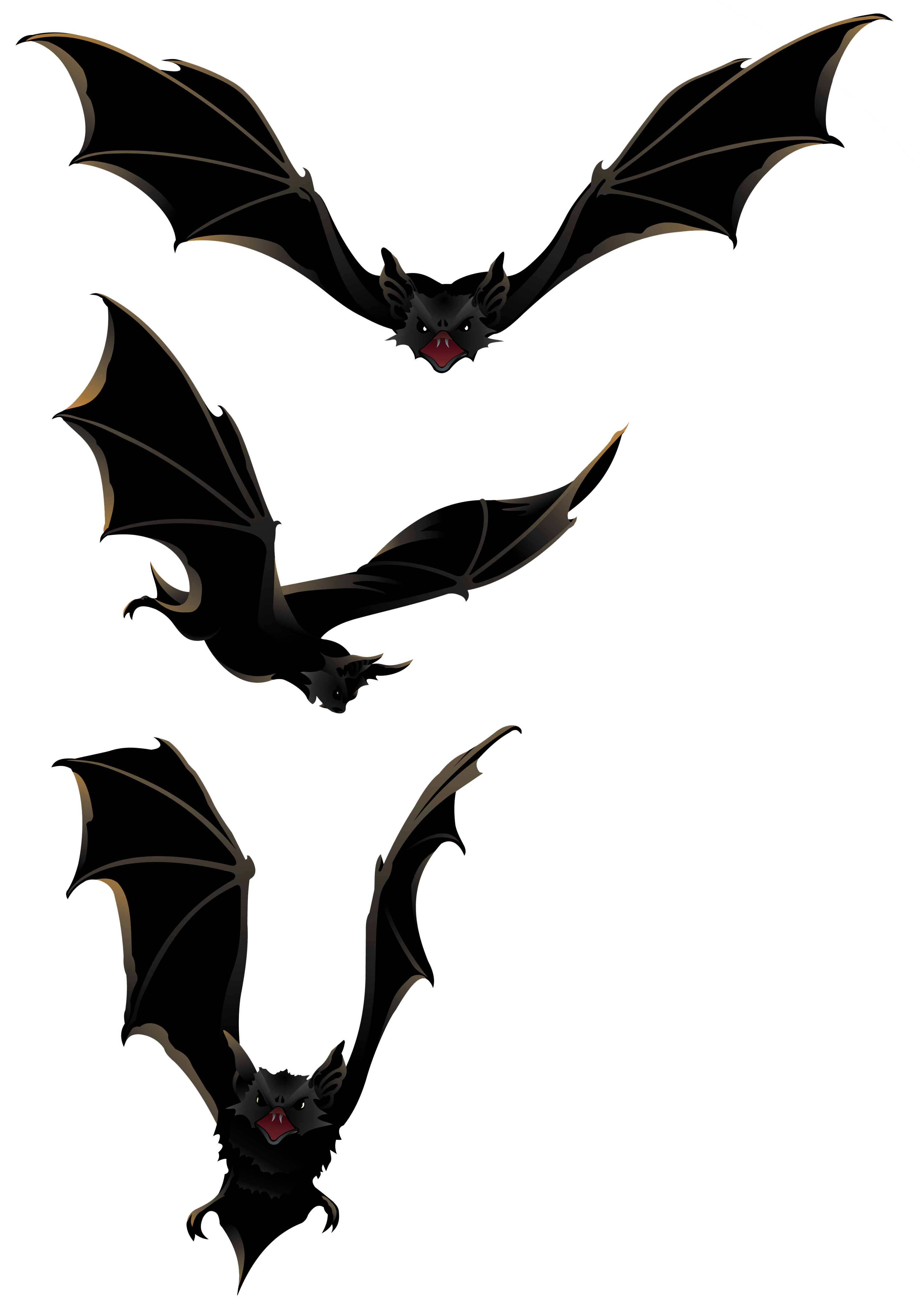Halloween Black Bat Clipart 