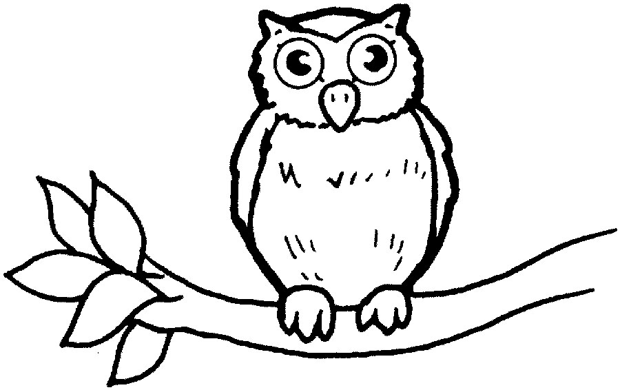 Owl clipart outline 