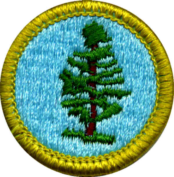 Printable List Of Merit Badges