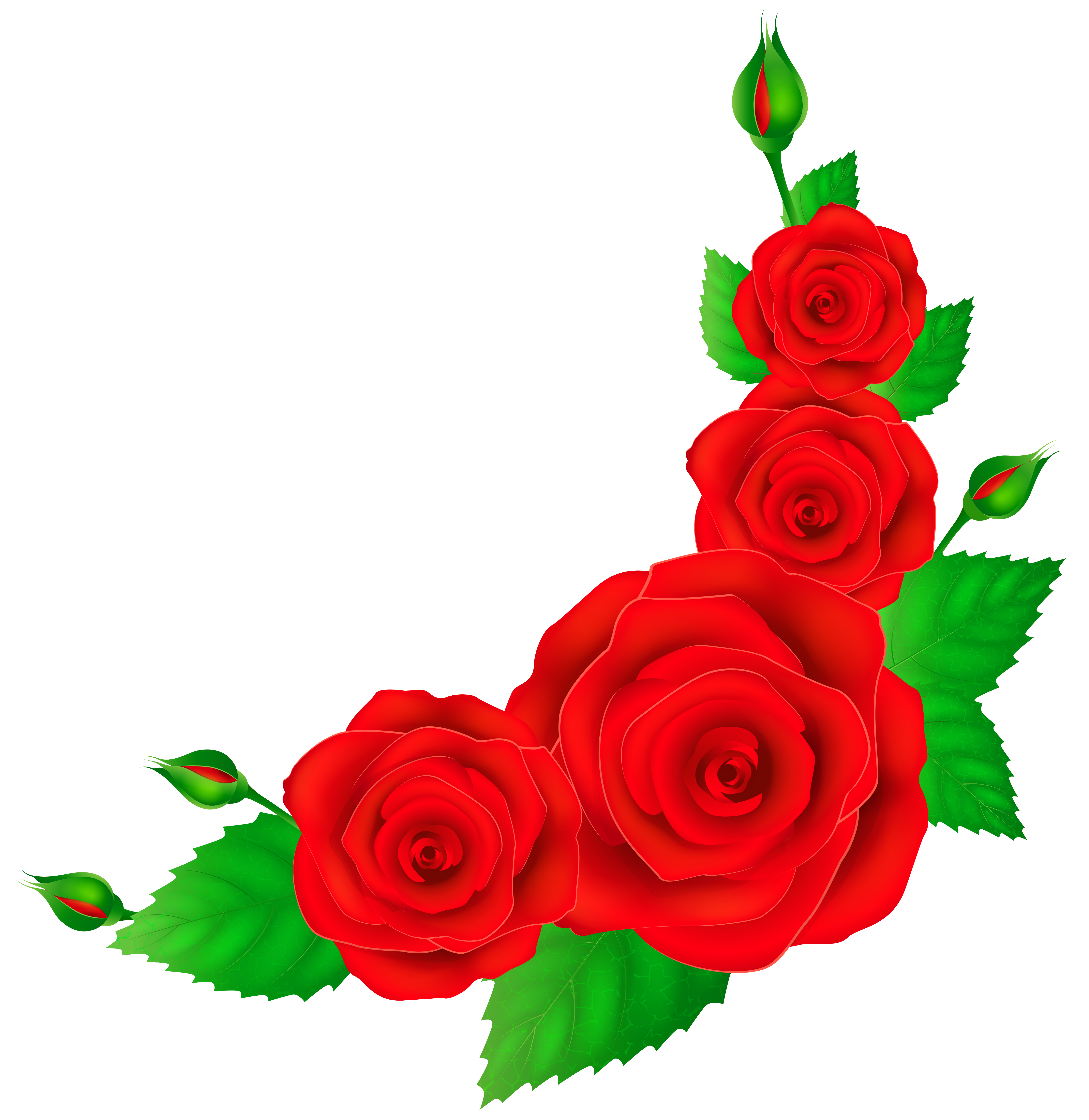 Red Roses Corner PNG Clip Art Image 