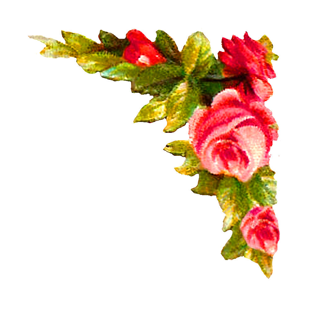 Antique Image: Digital Rose Corner Design Printable Flower Clip Art 