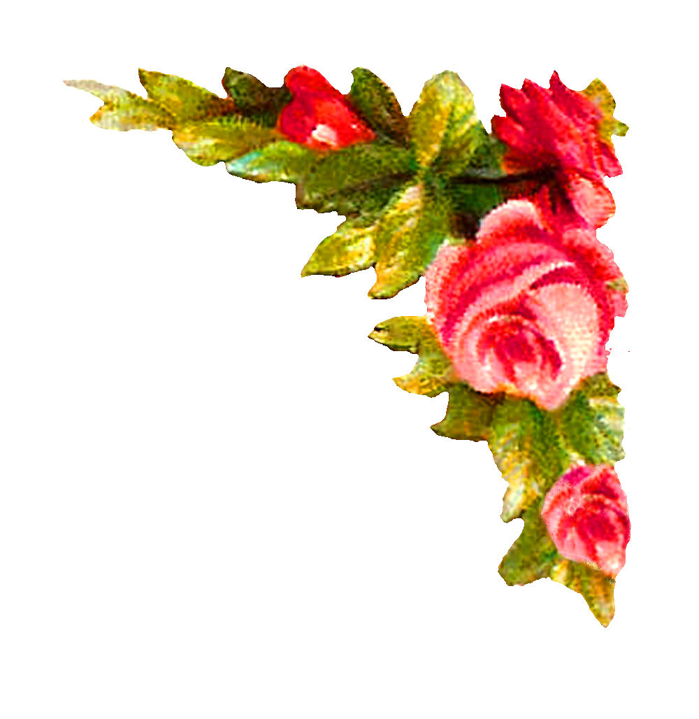 free corner flower png download free clip art free clip art on clipart library clipart library