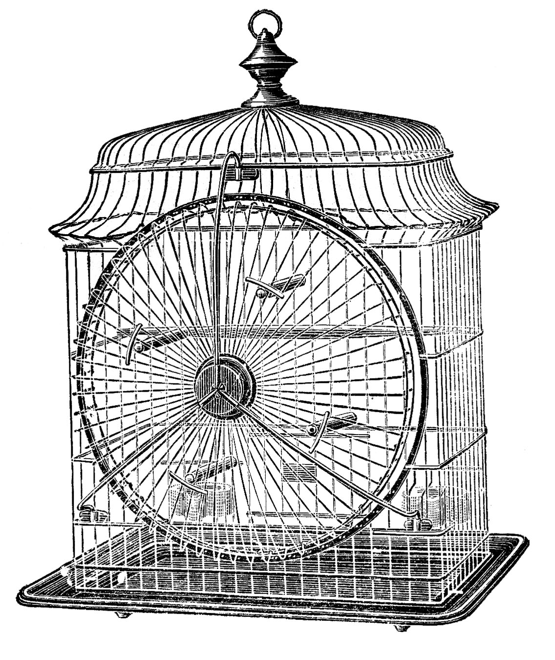 Vintage bird cage clipart 