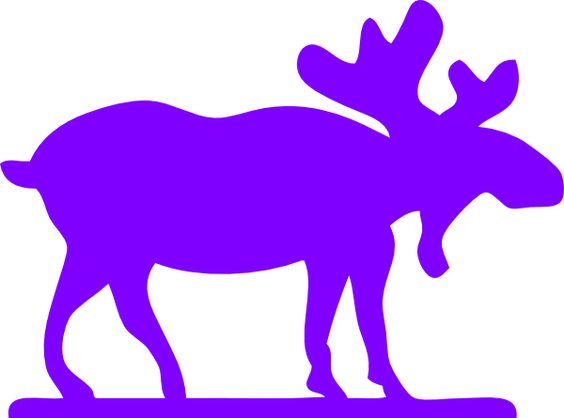 purple moose 