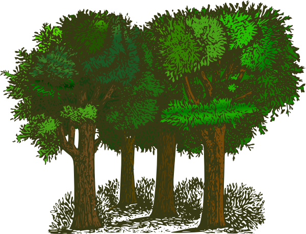 Animated forest clipart 