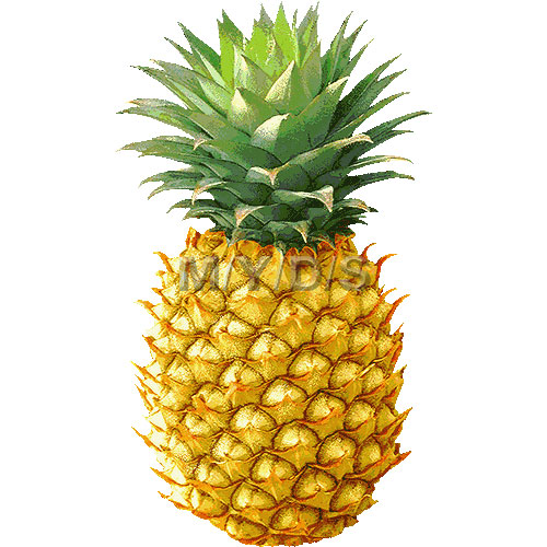 Pineapple clipart image 
