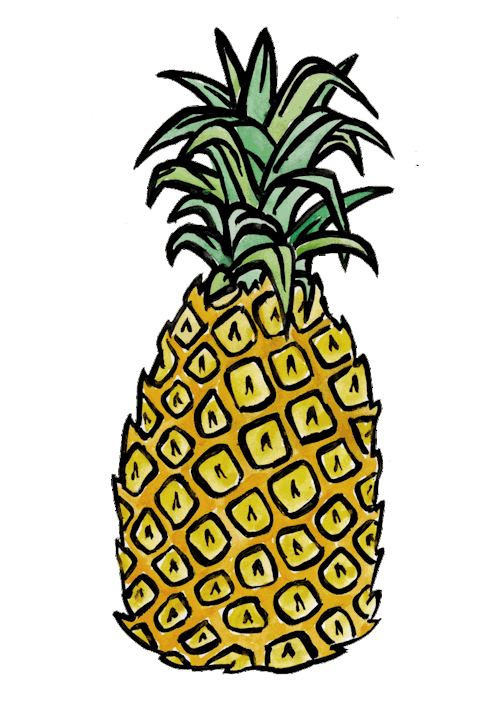 Pineapple clipart transparent 