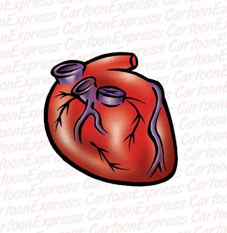 Free Heart Organ Cliparts, Download Free Heart Organ Cliparts png