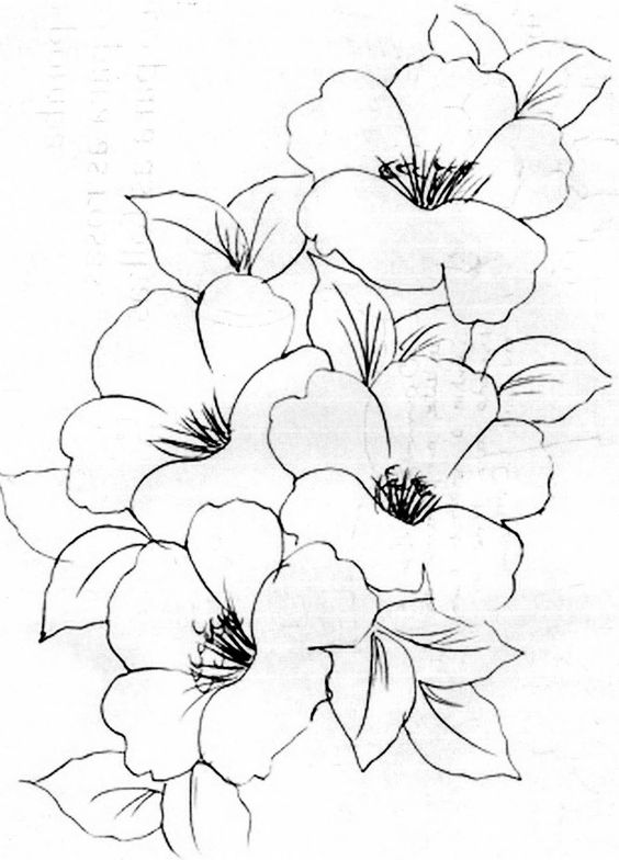 Flower image, clip art. Color in. Blank, fill in yourself. Pretty 