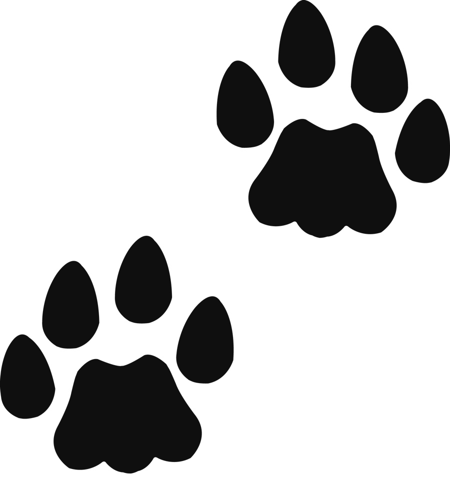 Bear Paw Track Image 