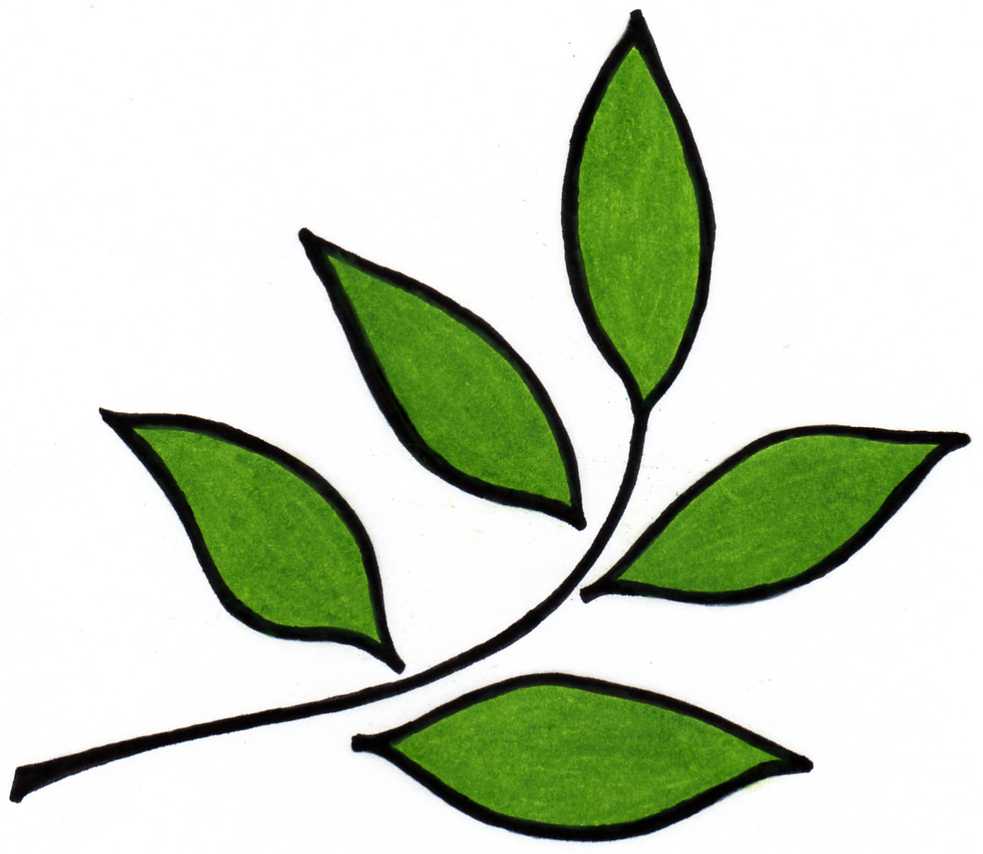 Designer Leaf Clip Art 