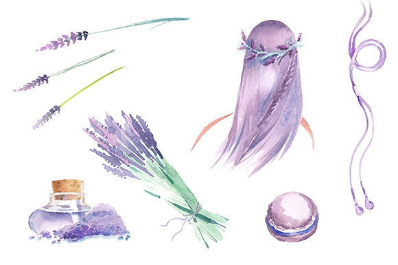 Free Watercolor Lavender Clipart Clip Art Library