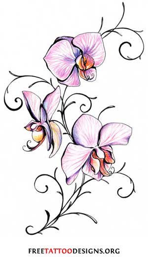 sweet pea flower tattoo drawing - Clip Art Library
