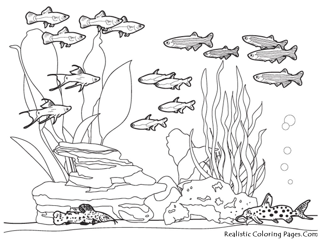 ocean view coloring pages - photo #19