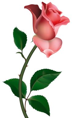 Red Rose Bud PNG Clipart 