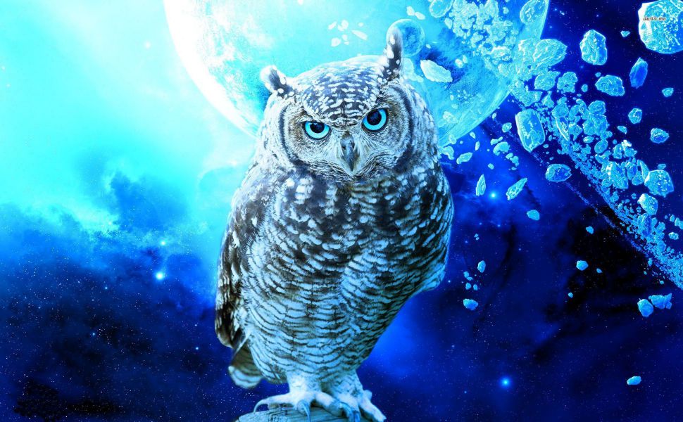 Space owl clipart 