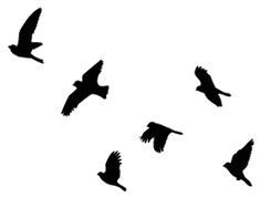 Clipart birds flying 