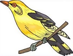 Free Eastern Goldfinch Clipart 