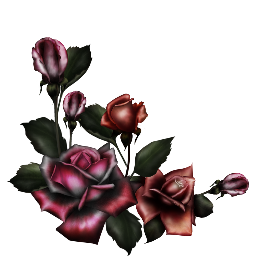 Clip Arts Related To : Gothic Rose Pic Flower Gothic Rose Png. 