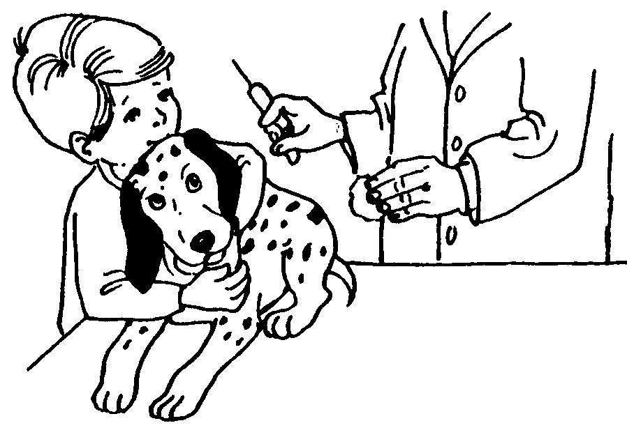 How To Take Care Of Animals Clipart 