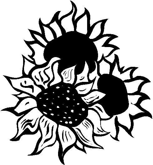 Sunflowers Clipart Black And White 